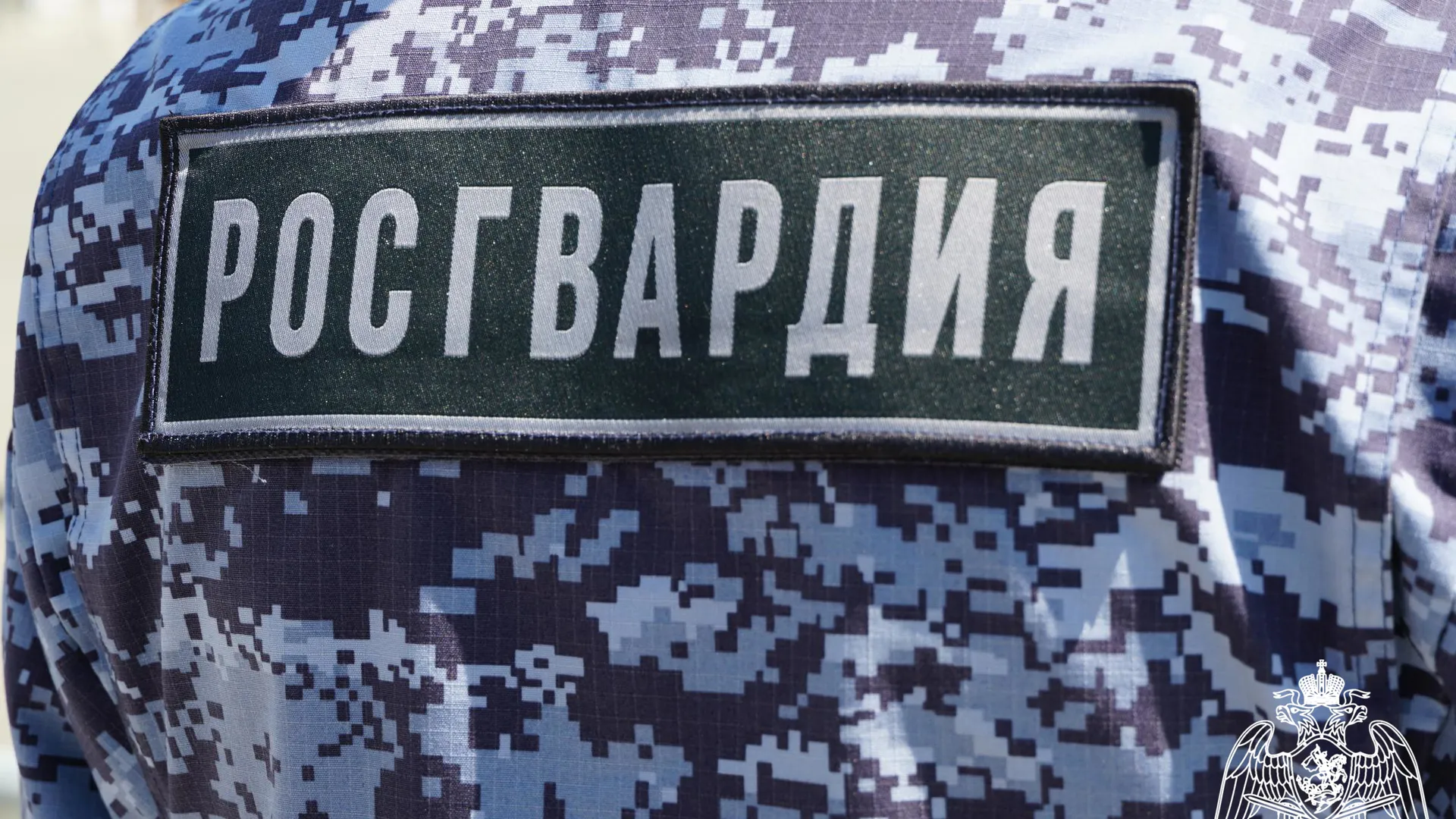 В Калуге росгвардейцы задержали 17-летнего юношу с сотней похищенных СИМ-карт