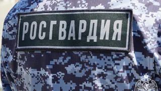 В Калуге росгвардейцы задержали 17-летнего юношу с сотней похищенных СИМ-карт