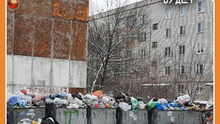 В НОВОГОДНИЕ ПРАЗДИНИКИ ПРОБЛЕМ С ВЫВОЗОМ МУСОРОМ НЕ БУДЕТ