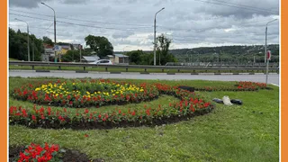 НА ВЪЕЗДЕ В КАЛУГУ ПОЯВИЛИСЬ ЦВЕТОЧНЫЕ КЛУМБЫ