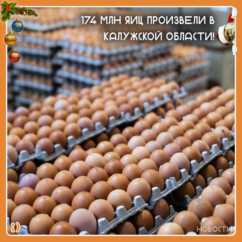174 МЛН ЯИЦ ПРОИЗВЕЛИ В КАЛУЖСКОЙ ОБЛАСТИ!