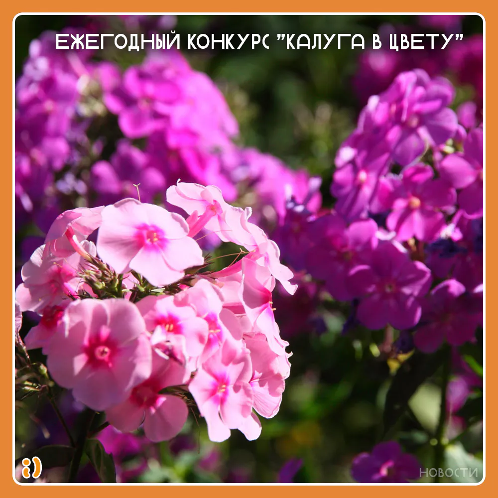 ЕЖЕГОДНЫЙ КОНКУРС "КАЛУГА В ЦВЕТУ"