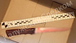В Калужской области 59-летняя женщина зарезала сожителя во время бытовой ссоры