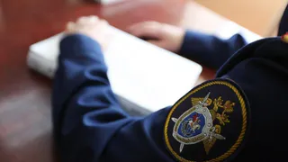 В Калужской области 17-летняя девушка предстанет перед судом за участие в телефонном мошенничестве