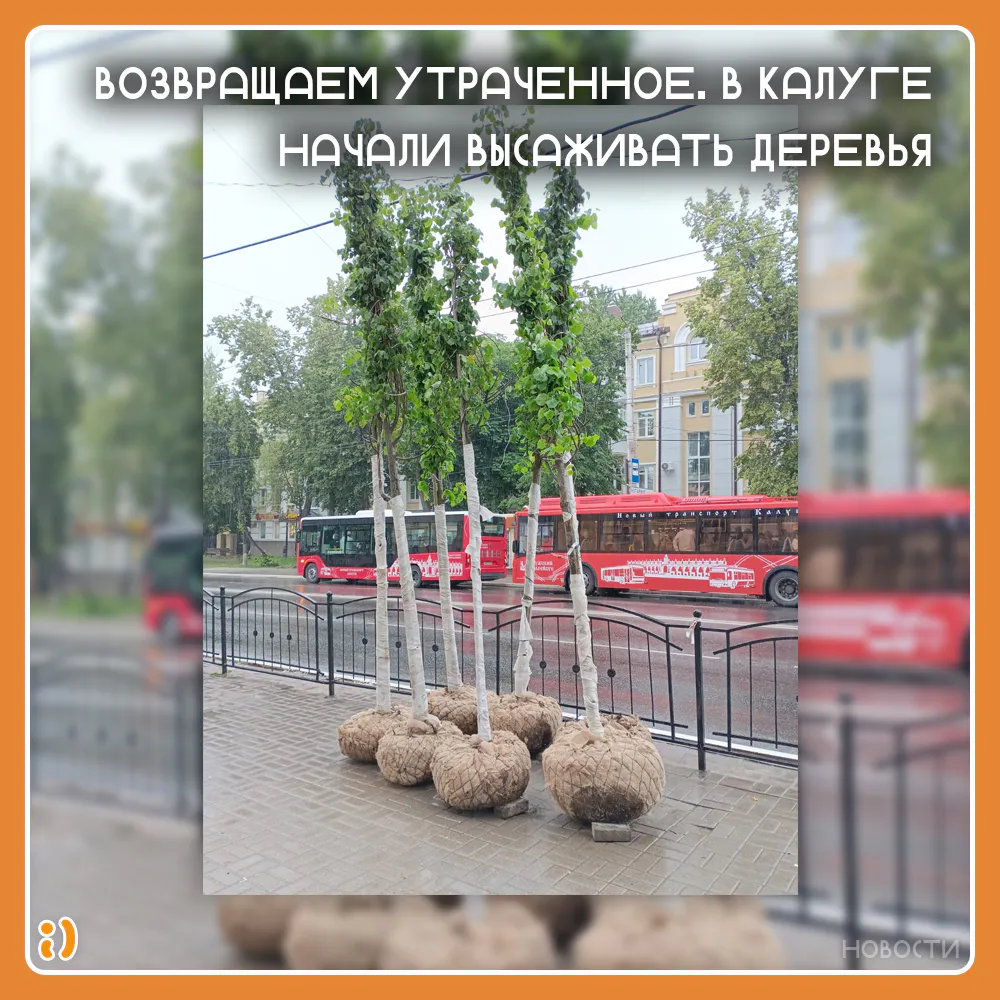ВОЗВРАЩАЕМ УТРАЧЕННОЕ. В КАЛУГЕ НАЧАЛИ ВЫСАЖИВАТЬ ДЕРЕВЬЯ