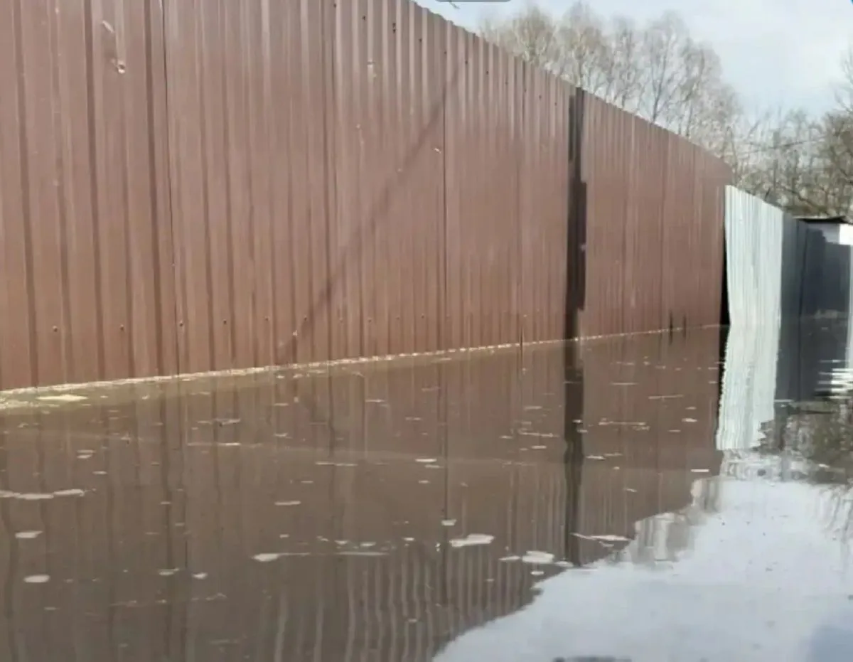Уровень воды в Прорве в Калужской области пошел на спад
