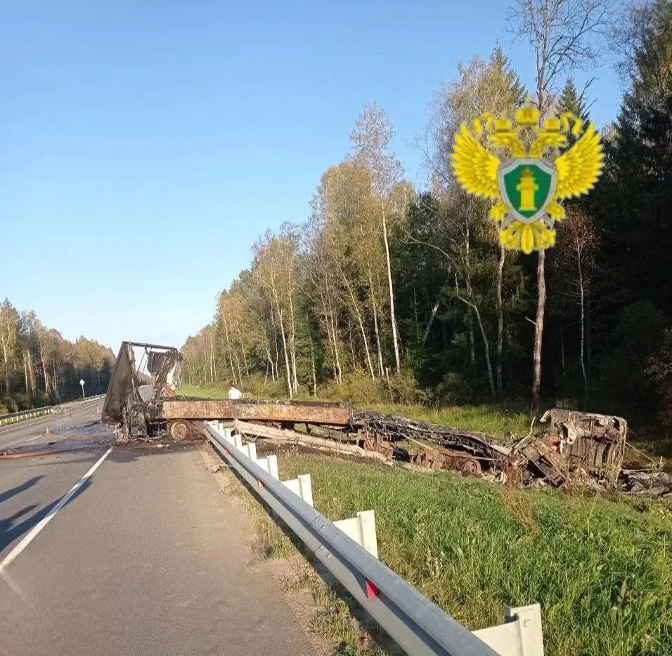 Житель Калининградской области получил срок за смертельное ДТП на калужской трассе