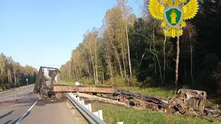 Житель Калининградской области получил срок за смертельное ДТП на калужской трассе
