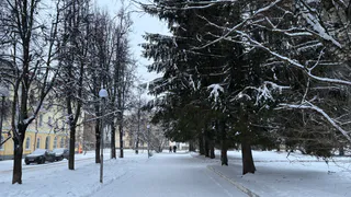В Калужской области 11 февраля ожидается небольшой снег и гололедица