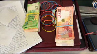 В Калужской области задержали пятерых подозреваемых в организации подпольного игрового зала